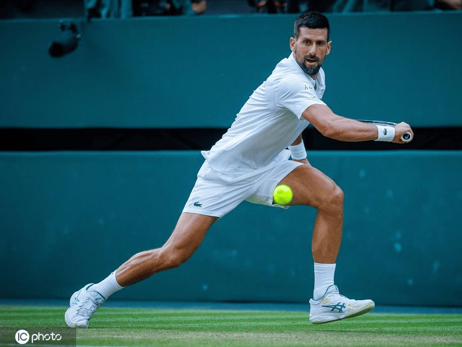 开云平台-澳网横扫美网，德约科维奇点燃赛场